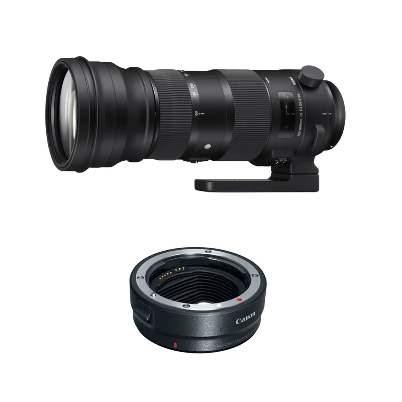 Sigma 150-600mm F5-6.3 DG HSM OS C Lens - Canon EF with EOS R Adapter
